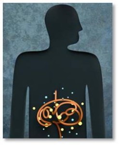 The explanation that intrigues me the most relates to the gut-brain connection. The digestive system, which houses about 80% of the body’s serotonin, in addition to 100 trillion flora in the microbiome, communicates with the brain via the vagus nerve, one of the longest in the body. For example, when serotonin leaves the brain, it looks for a place to “hide.” It likes the receptor sites in the gut. If it can hide in these, after thirty minutes these receptors will release dopamine. When that reaches the brain, it causes migraine, and you are toast.