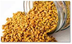 Supplement: Today, fenugreek is recognized as one of the best plants for treating diabetes. The seeds contain mucilages, which coat the stomach lining, slowing digestion. This, in turn, slows glucose absorption, which means the insulin in the bloodstream can get the glucose into cells without having them become overloaded. Overloading can lead to insulin resistance, which in turn can cause Type II diabetes.