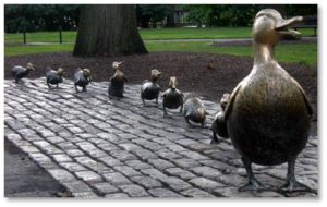 The bronze statues of Mrs. Mallard followed by Jack, Kack, Lack, Mack, Nack, Ouack, Pack, and Quack was installed in October of 1987 – 46 years the book was first published. The nine statues were commissioned by the Friends of the Public Garden and sculpted by Nancy Schön, who also did the Tortoise and the Hare in Copley Square. 