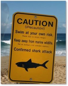 Shark Warning Sign, Great White Shark, Caution, swim at your own risk