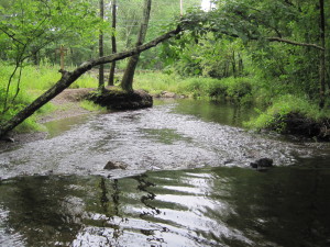 tributary of the Palmer River in Rehoboth MA