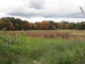 farmland owned by the Rehoboth Land Trust