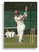 cricket, cricket pitch, hit for six,