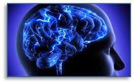 Brain Mapping, brain function, brain physiology