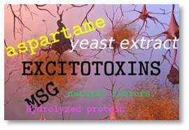 excitotoxins, Dr. Russell Blalock, the taste that kills