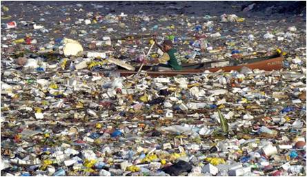 Great Pacific Garbage Patch, Garbology, Edward Humes