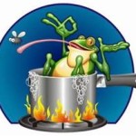 frog in a pot of water