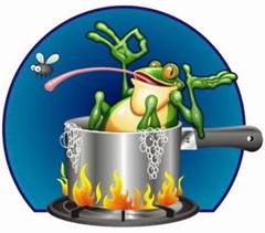 frog in a pot of water