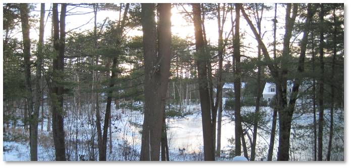 Pond, wildlife, refuge, Sudbury, winter