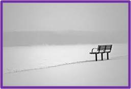 snowy bench, snow-covered park, silence
