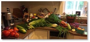 I would have packed more but Mom and Dad have joined a Community Supported Agriculture (CSA) farm share and I knew they were awash in fresh vegetables. 