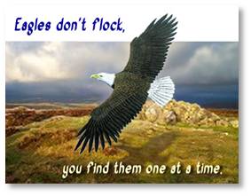 Eagles Don't Flock You Have to find them one at a time