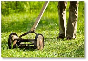 They were too big for many yards around us so summers included the distinctive sound of a push mower whirring a path through the grass, pausing as the pusher pulled it back, then cutting its way forward again. 