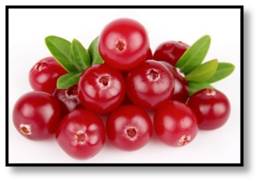 Cranberries are harvested in the fall and most often associated with Thanksgiving and a dish of sauce. They deserve much more attention. There are two ways to harvest a cranberry: wet and dry. 