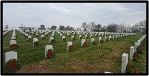 I jumped on a plane to Washington D.C To lay wreaths on their graves in our Cemetery I saw the white headstones in row after row And among them a man I was privileged to know