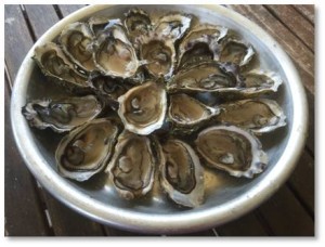 Casting aside my trepidation, I served myself three oysters in salt water on the half shell, squeezed fresh lemon juice over them, and slurped the first one, even chewing a bit before swallowing. 