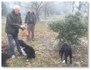 Hunting truffles with Edouard and Farah in Perigord