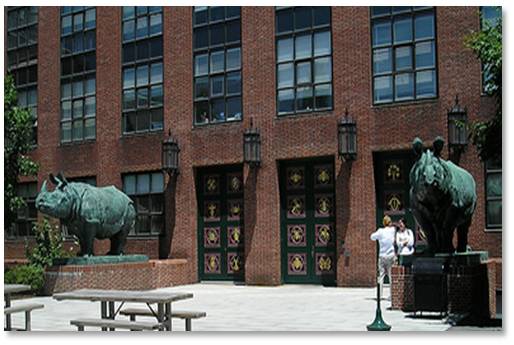 Bessie and Victoria, two Indian rhinos, stand outside Harvard University’s Biological Sciences Building, now the department of Molecular and Cellular Biology (MCB). Ms. Weems was commissioned to “embellish” the outside of the building in 1930 by Harvard’s President, A. Lawrence Lowell. Only 30 years old at the time, she created a carved brick frieze of birds around the top of the building and the three main entrance doors that highlight species of animals that live on earth, air and sea. 