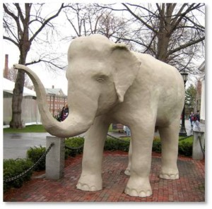 For a while Jumbo was replaced with a concrete and papier mâché statue of an Indian elephant that the Class of 1958 purchased from the now-defunct Benson’s Wild Animal Farm. But that stand-in pachyderm did not meet Jumbo’s standards—too small, wrong species, not inspiring. 