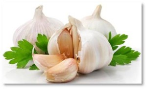 Unani—Persian traditional herbal medicine—considers garlic to be the most important herb for upper respiratory tract and gastrointestinal complaints. Ayurvedic medicine also uses garlic to treat joint pain and fever. Homeopathy has garlic preparations for many of the same areas.