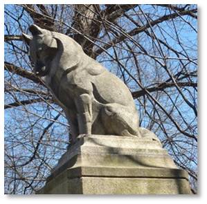 The dog is a German Shepherd, although it looks more like a Husky to me. It was carved by animal sculptor Katherine Lane Weems, who created other animal statues in Boston, including three rhinoceroses and a pod of dolphins. The dog was modeled on Lotta’s own pet.