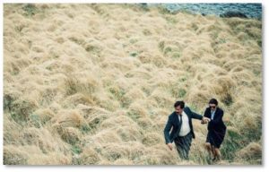 The Lobster was not a good start to the summer movie season has but I hope to see better films in the next few months. In the meantime, don’t be trapped by The Lobster’s good reviews. Run away, run away.