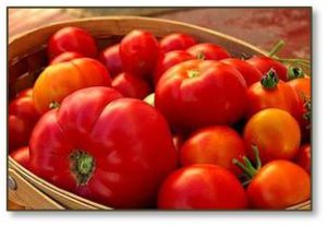 tomatoes, summer tomatoes, tomato