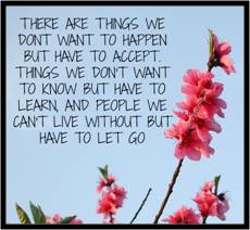 There are things we don't want to happen, but have to accept. Things we don't want to know but have to learn. And people we can't live without but have to let go.