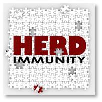 Herd immunity for vaccine occurs when the vaccination of a significant portion of a population (or herd) provides a measure of protection for individuals who have not developed immunity. When a high percentage of the population is protected through vaccination it is difficult for a virus or bacteria to spread because there are so few susceptible people left to infect.