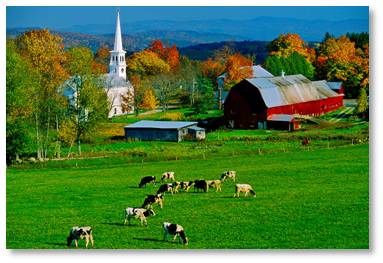 I make no apologies for drinking cow’s milk from happy cows that roam New England’s green pastures. I do prefer organic milk or milk from companies like Garelick Farms that advertises no antibiotics or artificial growth hormones. 