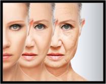Collagen is the support structure that gives skin a firm, young appearance. When levels remain plentiful, skin looks young and smooth. When levels decline, that support lessens and wrinkles begin to form. 