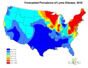 Prevalence of Lyme Disease in the US 2016