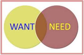 I appreciate the difference between want and need.  They are not mutually exclusive because life is meant to be lived.  