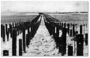 Maginot Line, border wall, fighting the last war
