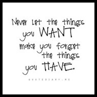 Never Let the Things You Want Make You Forget the Things You Have