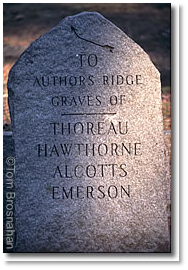 Sleepy Hollow Cemetery, Concord MA, Author's Ridge, garden cemeteries