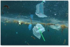 floating plastic trash, Great Pacific Garbage Patch, ocean pollution, plastic pollution