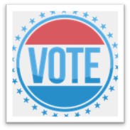 vote, voting, polls, elections, mid-term elections