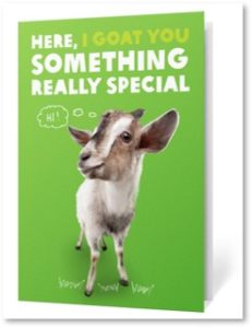 goat as gift, give a goat, I goat you something really special