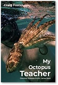 My Octopus Teacher, Craig Foster, Netflix, movie