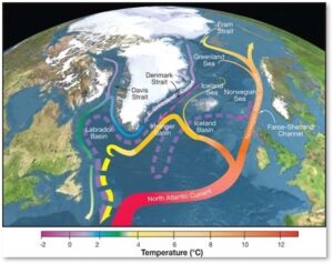 North Atlantic, Ocean Currents, Gulf Stream AMOC, Cold Blob