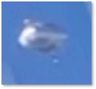 Metallic Blimp, UAP, UFO, Unidentified Aerial Phenomena, Unidentified Flying Object