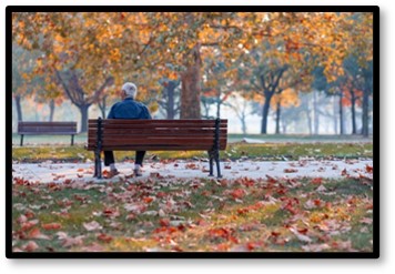 Man on Park Bench, Grief, Survival, Spouse, Widower