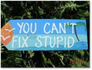 You Can't Fix Stupid, Stupid, situational awareness, common sense, stupidity