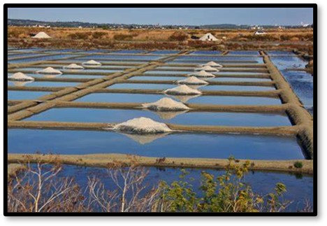 Guerande Salt Marshes, fleur de sel, sel gris, salt production. France