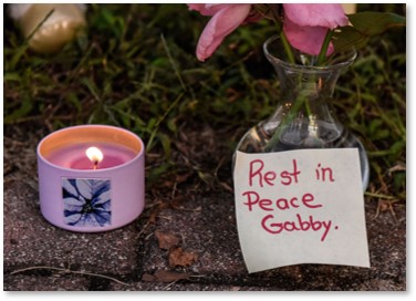 Rest in Peace Gabby, Gabby Petito, Bridger-Teton National Forest