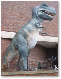 Tyrannosaurus Rex, Boston Museum of Science, statues