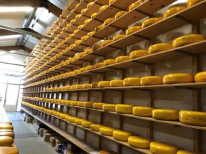 Gouda Cheese, Holland, Aging Room