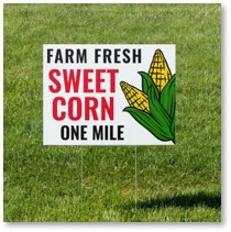 Farm Fresh Sweet Corn, One Mile, Summer, June 2023 Posts