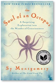 The Soul of an Octopus, Sy Montgomery, A Surprising Exploration Into the Nature of Consciousness, cephalopod